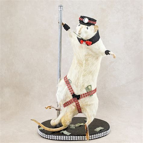 Rat pole .
